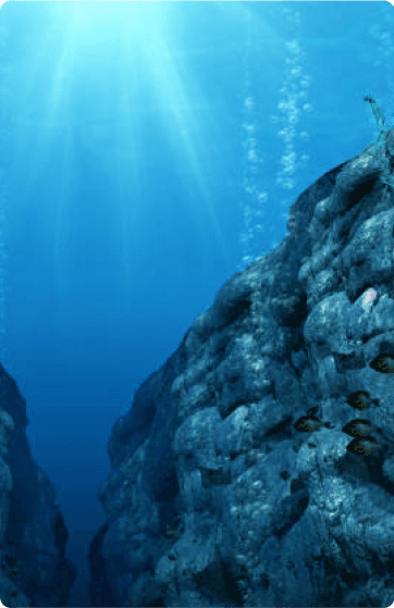 Marine Systems